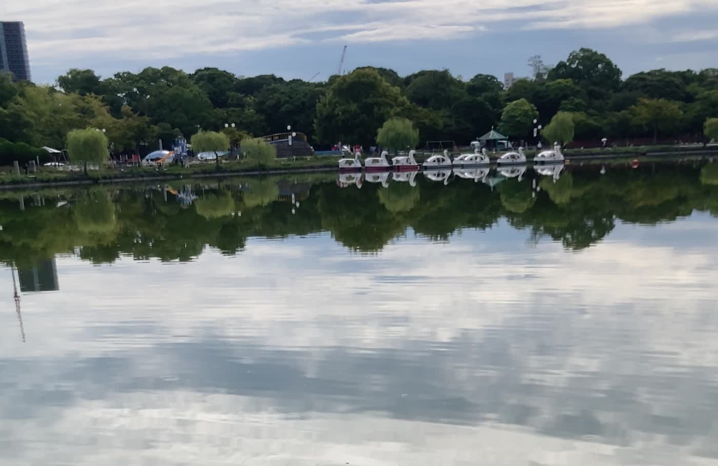 大濠公園の湖。対岸の緑とスワンボート、水面に映る空