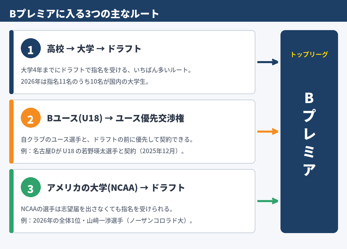 図　Bプレミアに入る3つの主なルート（大学→ドラフト、Bユース→ユース優先交渉権、NCAA→ドラフト）
